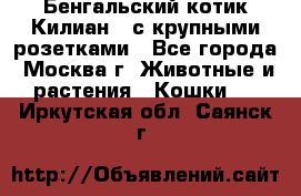 Бенгальский котик Килиан , с крупными розетками - Все города, Москва г. Животные и растения » Кошки   . Иркутская обл.,Саянск г.